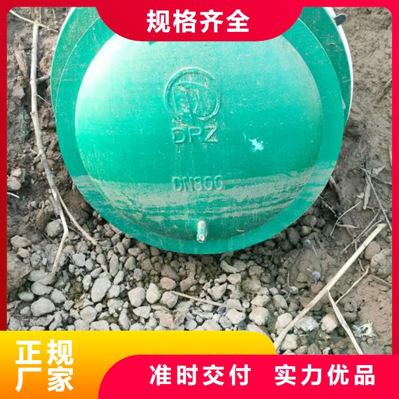 拍门,方拍门质量检测