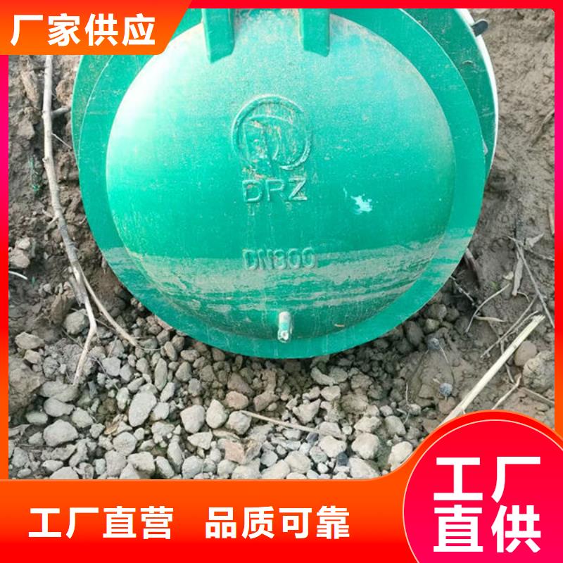 拍門,不銹鋼拍門嚴(yán)格把關(guān)質(zhì)量放心