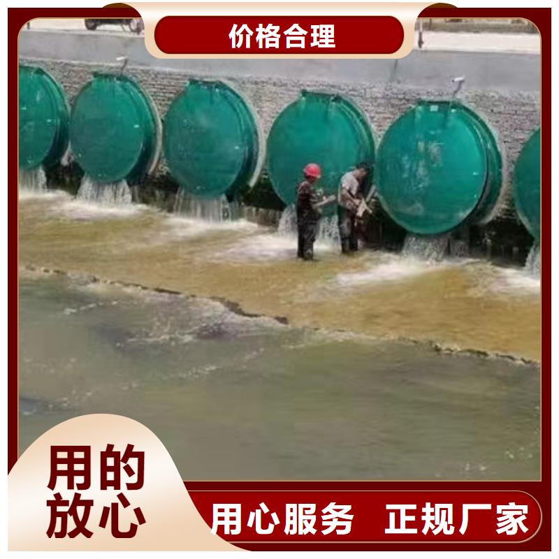 拍门-铸铁拍门实力才是硬道理