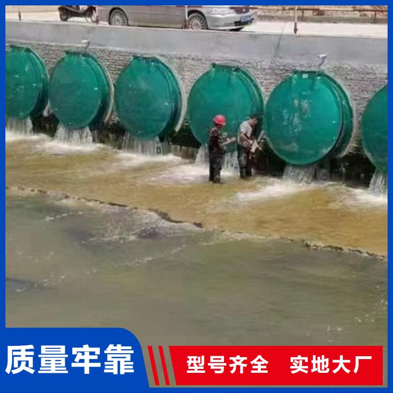 拍门铸铁拍门实力大厂家