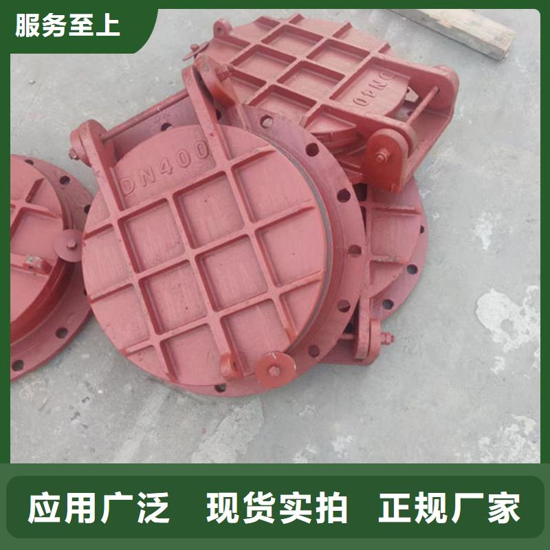 拍门铸铁拍门源头厂家供应