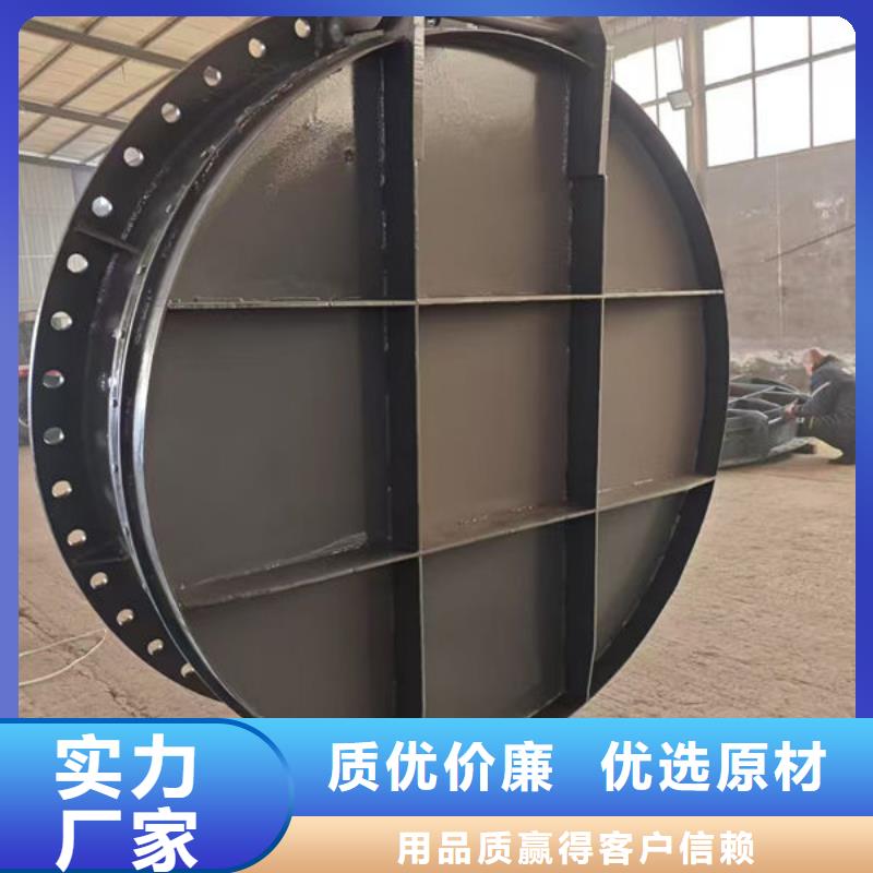 拍門球墨鑄鐵拍門海量貨源
