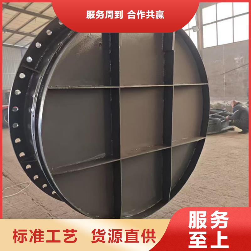 拍门防倒灌拍门产品参数