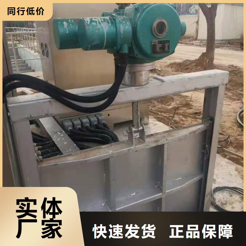 不锈钢闸门-单面止水不锈钢闸门讲信誉保质量