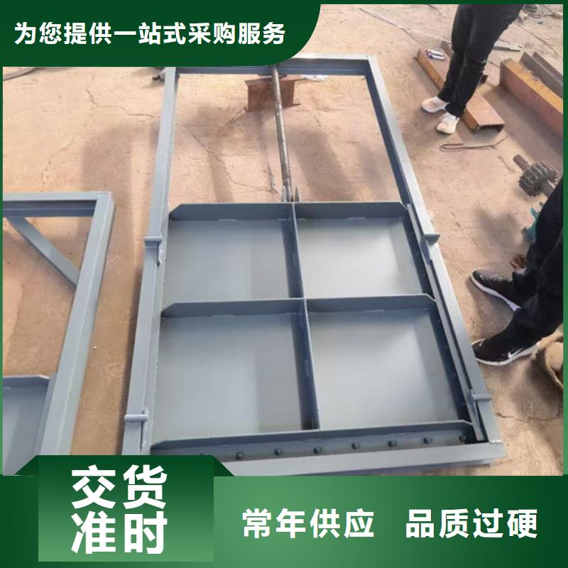 不锈钢闸门不锈钢电动闸门厂家供应