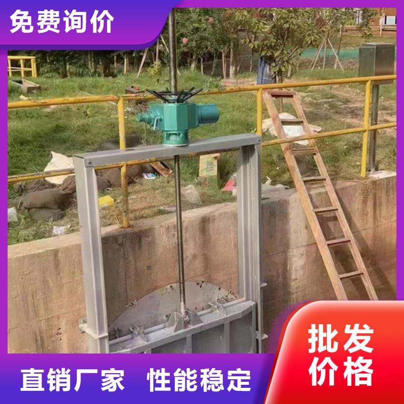 不銹鋼閘門單面止水不銹鋼閘門一致好評產品