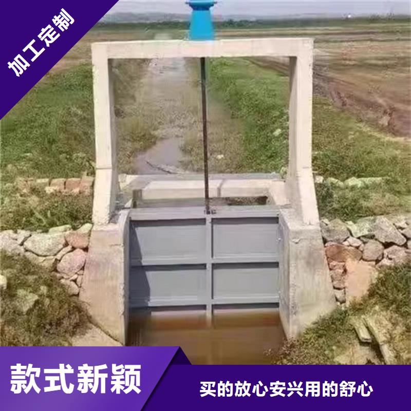 不銹鋼閘門單面止水不銹鋼閘門一致好評產品