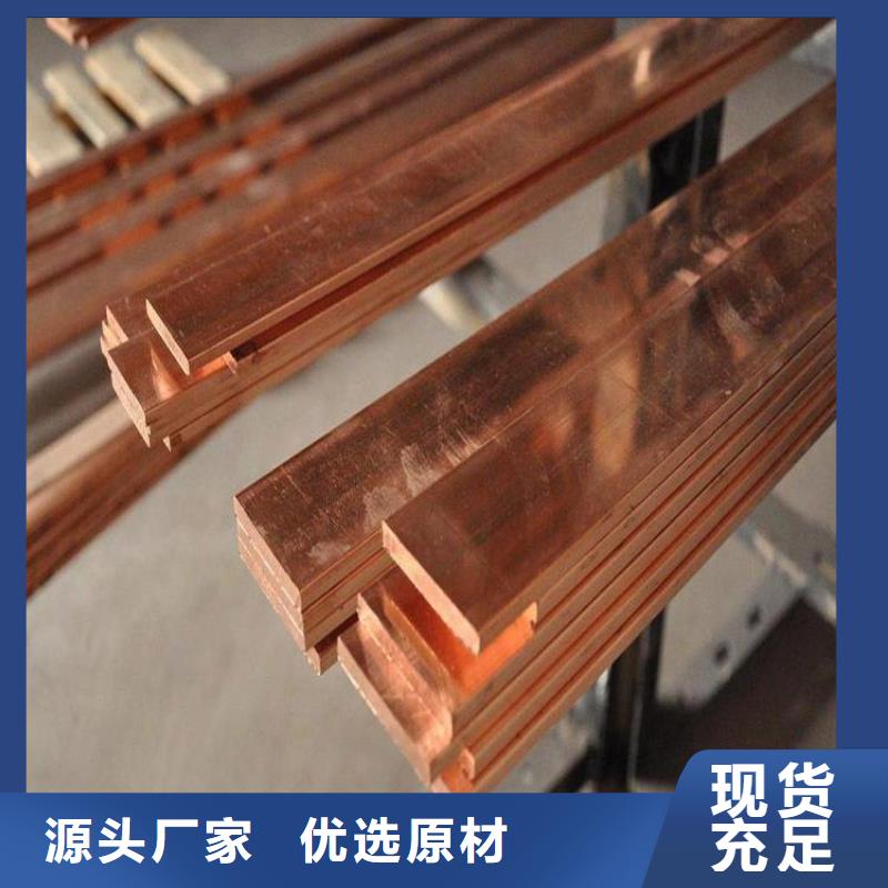 高纯度无氧铜C1100铜排现货