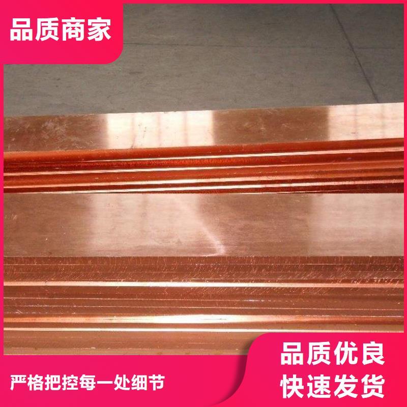 高纯度无氧铜C1100铜排现货
