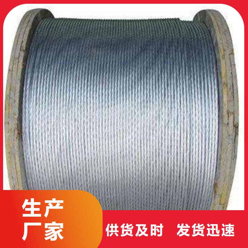 鋼絞線50*5紫銅排實地大廠