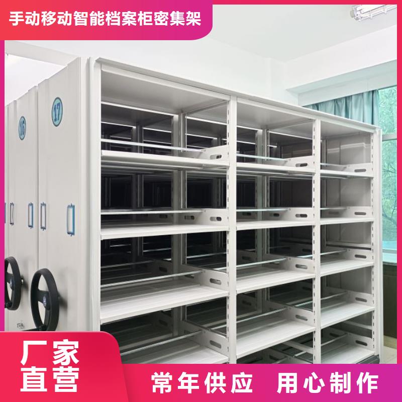 規格型號齊全【樺平】油畫密集架
