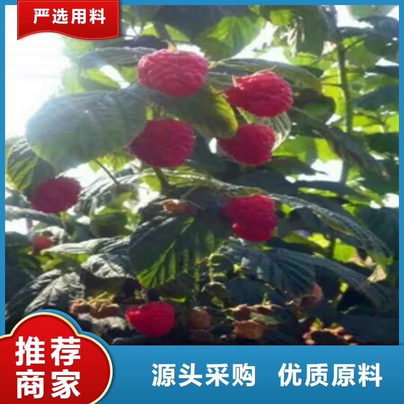 绿化树 绿化工程-视频-绿化树 绿化工程(正家)覆盖地域江西省萍乡市安源|莲花|赣州|景德镇|新余|九江|宜春|南昌