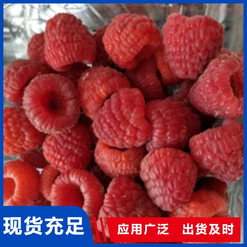 绿化树 绿化工程-视频-江城|阳春|潮州|深圳|湛江|梅州|江门绿化树 绿化工程专业信赖厂家-正家园艺场(阳江市分公司)