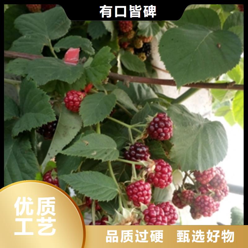 绿化树 绿化工程-视频-江城|阳春|潮州|深圳|湛江|梅州|江门绿化树 绿化工程专业信赖厂家-正家园艺场(阳江市分公司)
