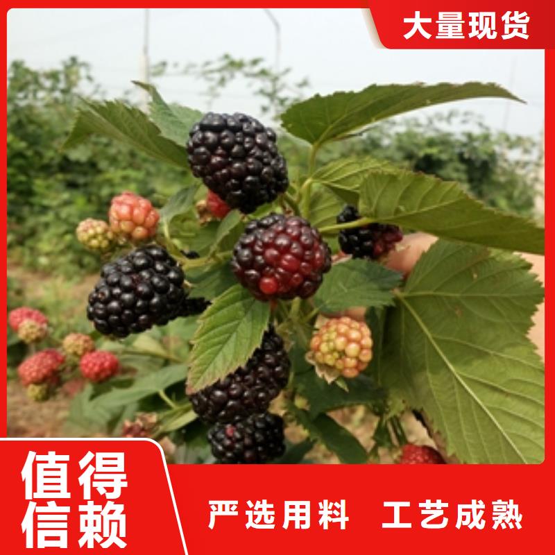 【树莓苗】 碧桃源头厂源头货_正家园艺场(萍乡市分公司)
