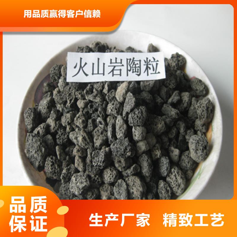 灰色陶粒硝化效果好适用范围广