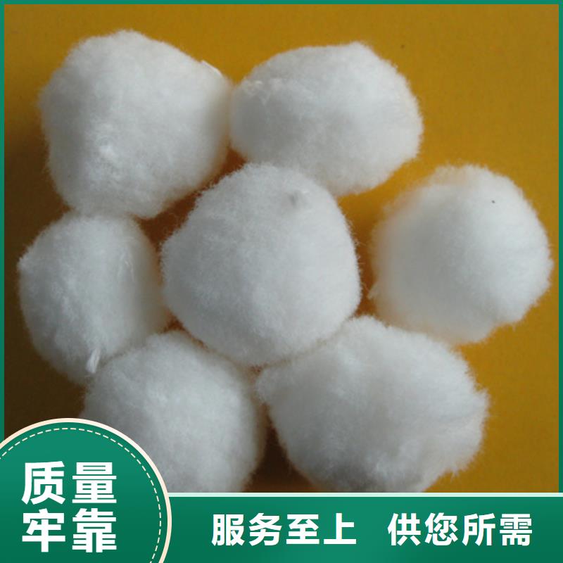 纤维球沸石经验丰富质量放心