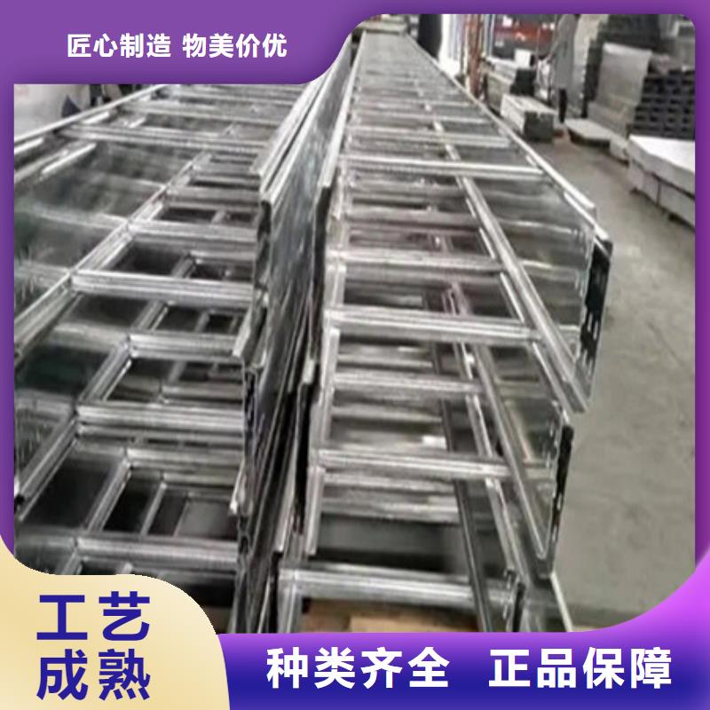 本地【自营品质有保障 桥架_进口耐磨板质量为本】_一站式供应厂家