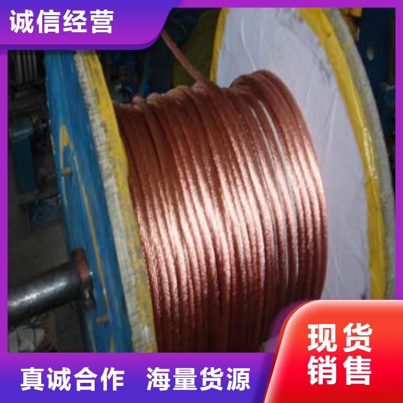 铜绞线紫铜带支持定制加工