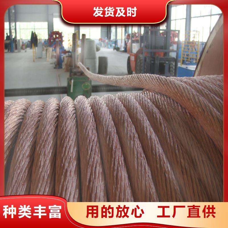 铜绞线-紫铜带价格实惠