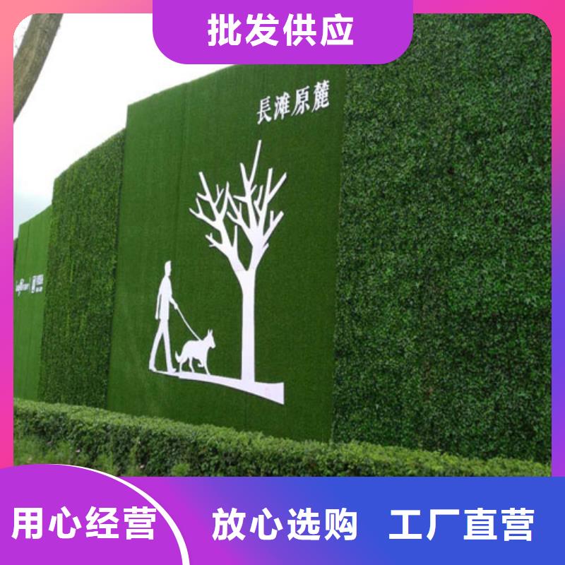 围挡草坪-【草坪围挡】售后服务完善