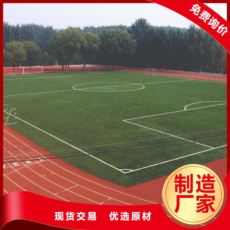 塑胶地坪【攀岩墙搭建】可定制有保障|环县|正宁|定西|陇南|白银|武威|兰州货源