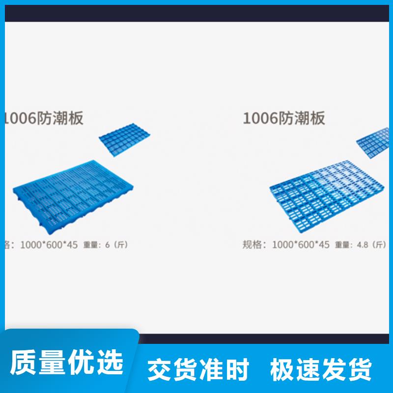 河南三门峡直供冷藏冷库塑料托盘生产厂家