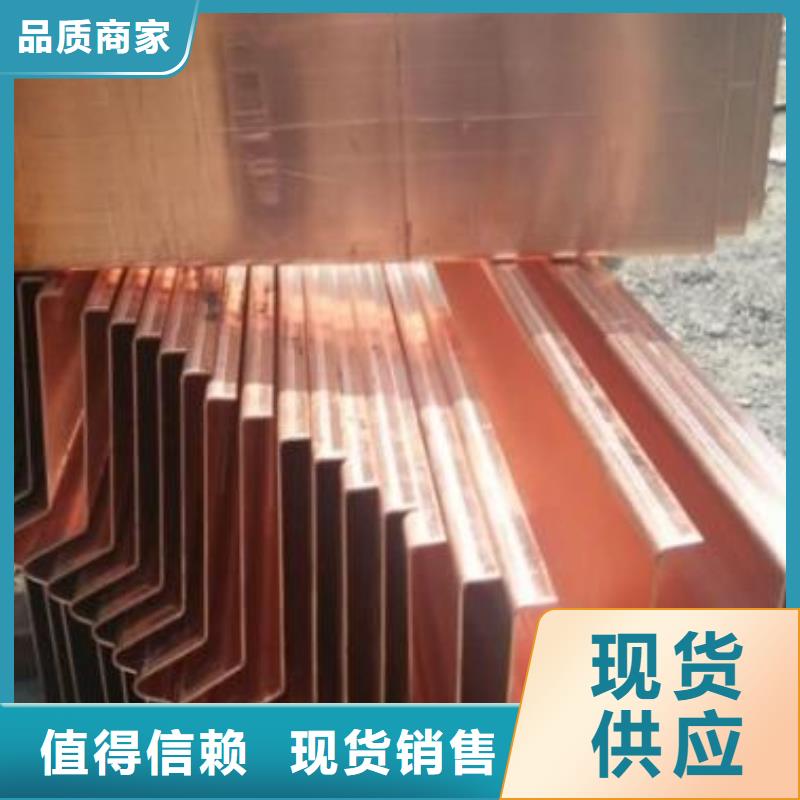 止水铜片中埋式橡胶止水带质量牢靠