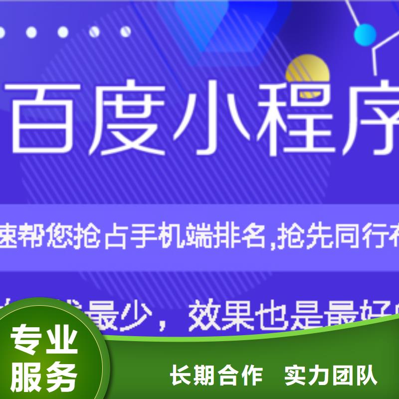 手机百度【网络公司】专业承接