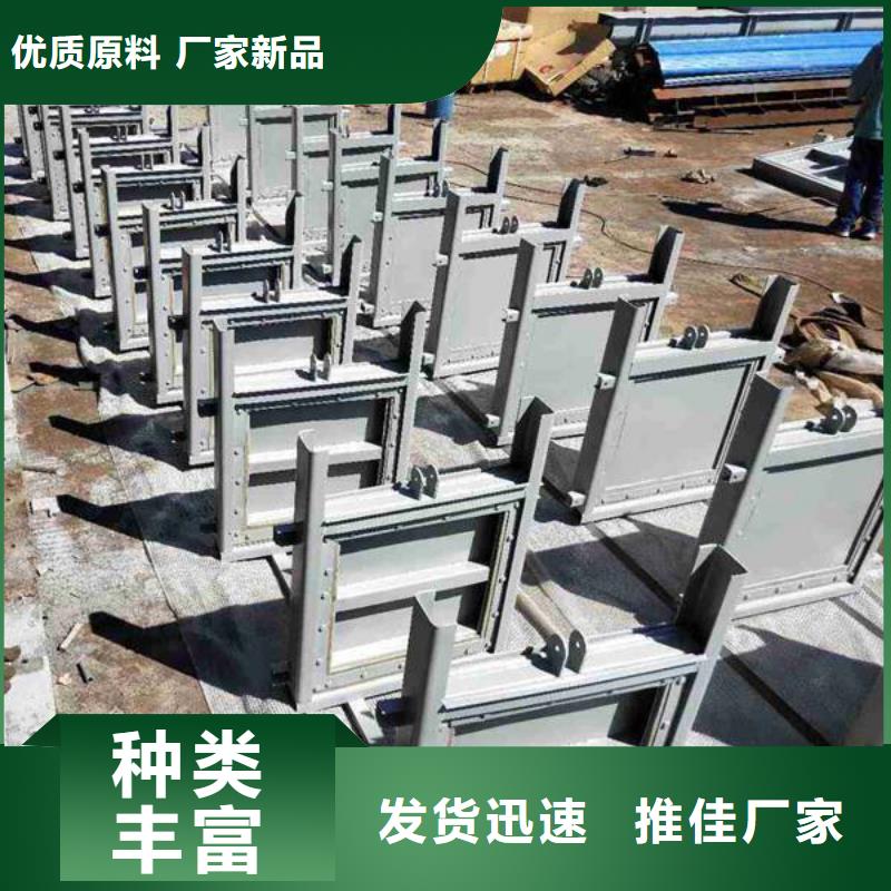 黄南本土(瑞鑫)不锈钢闸门 钢制平面闸门提供图纸