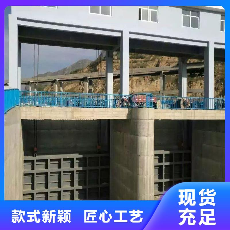 广西省[桂林]优选<瑞鑫>七星区不锈钢闸门2024厂家直销