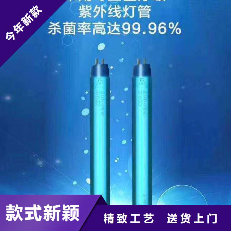 档案库房消毒柜批发规格齐全_可定制物超所值