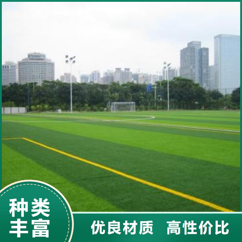 2024休闲草坪