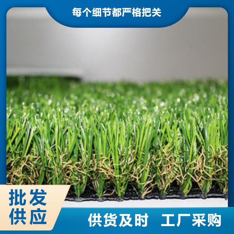 人工草坪施工