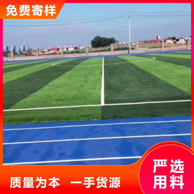 湖北省襄樊市人工草坪材料