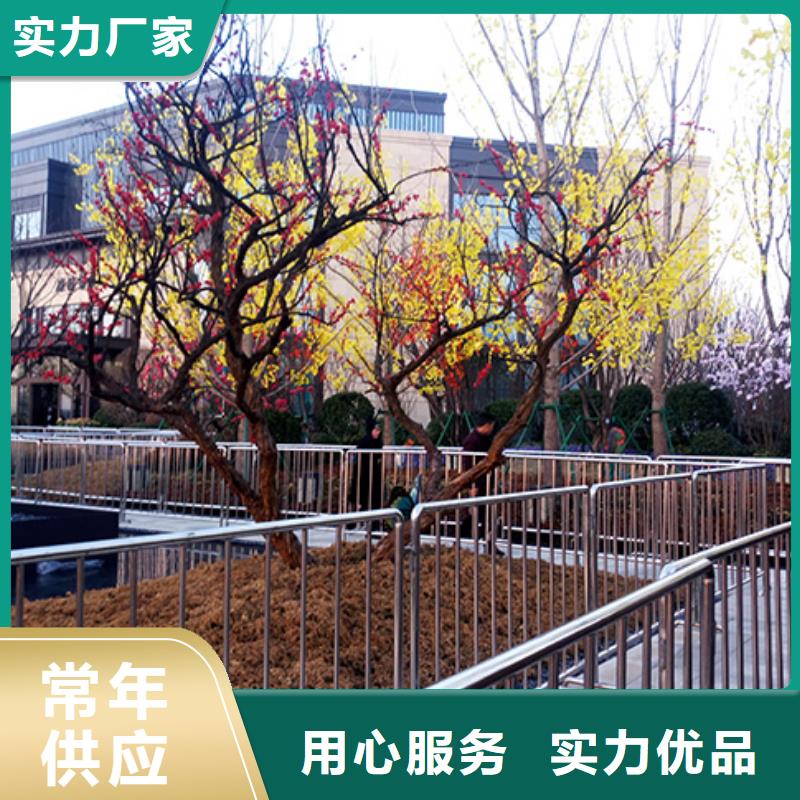 【 铁马护栏出租红色篷房租赁2025专业的团队】|清流|大田|宁德|龙岩|厦门|泉州|漳州供应商