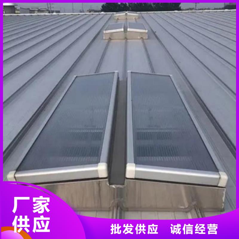 选TC1B-3030n启闭式通风天窗【无中间商】