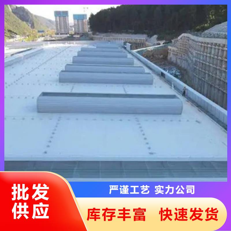 TC10B-3040n薄型通风天窗供应商价格