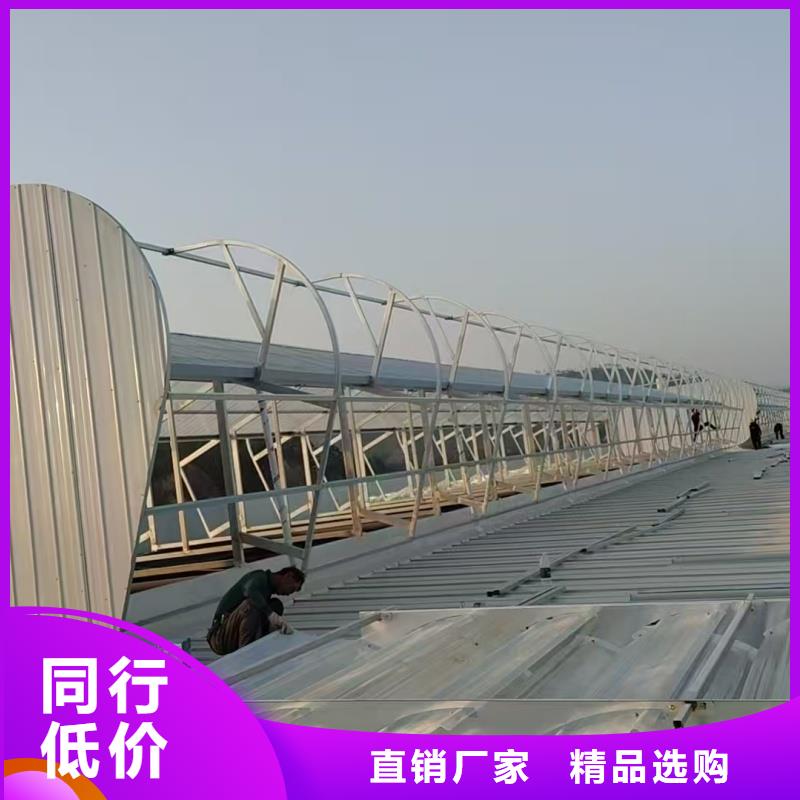 G型百叶窗型消防排烟天窗图片