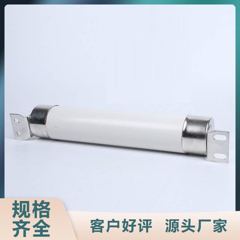 高压限流熔断器厂家熔断器XRNT高压避雷器直销