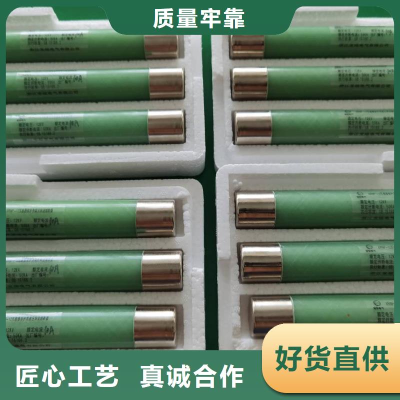 SDLAJ-3.6/6.3A10A16A20A变压器保护用高压限流熔断器