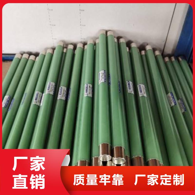 保护电压互感器用高压限流熔断器XRNP1-12/3.15A