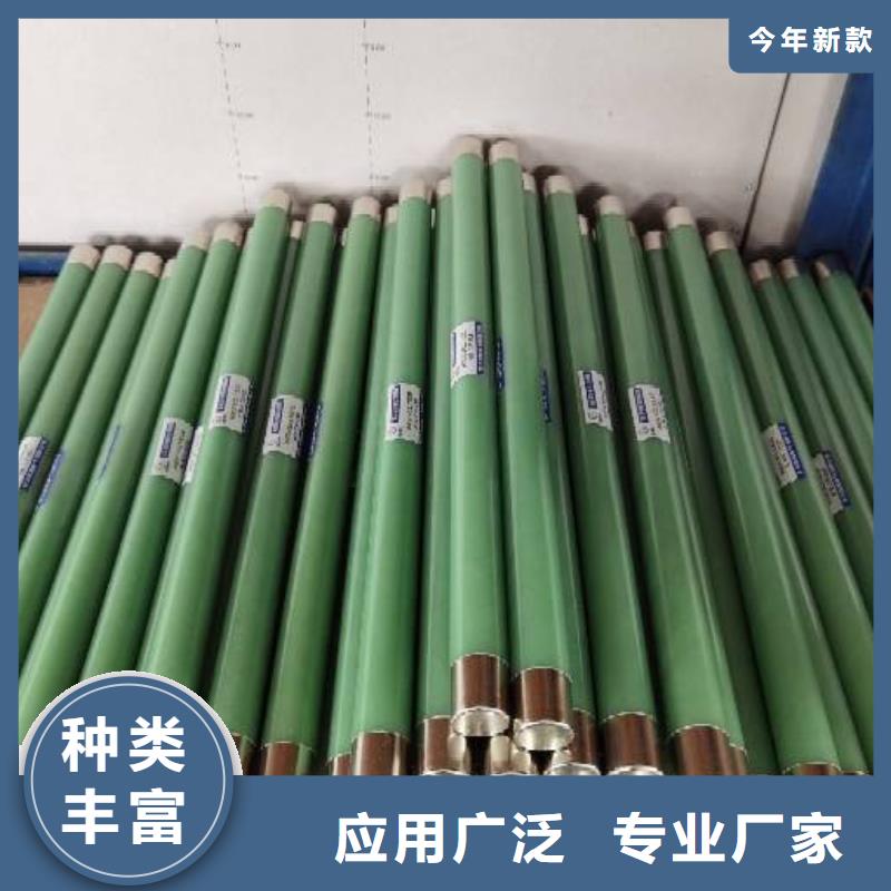 生产厂家XRNP1-35/3.15A保护电压互感器用高压限流熔断器