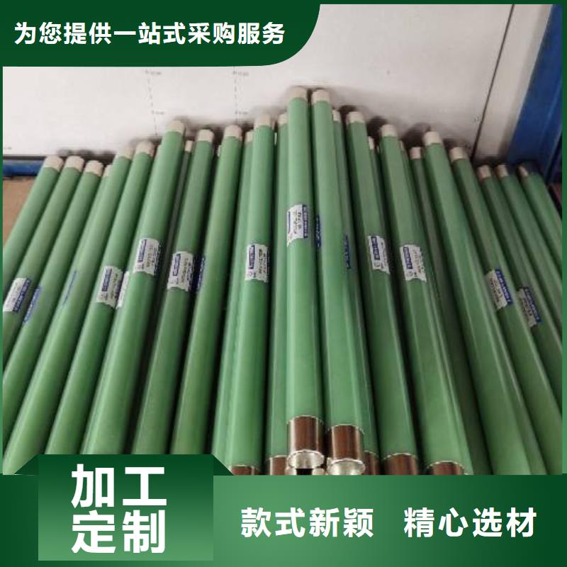 保护电压互感器用高压限流熔断器XRNP1-12/0.5A