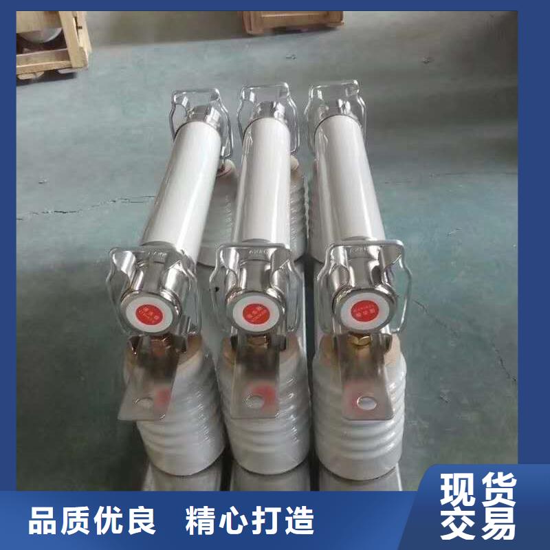 XRNT1-12KV/20A型号参数变压器保护用高压限流熔断器