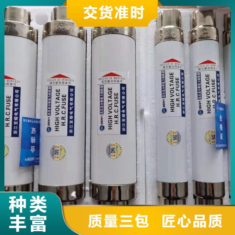 XRNP-12/1A互感器保护用高压限流熔断器