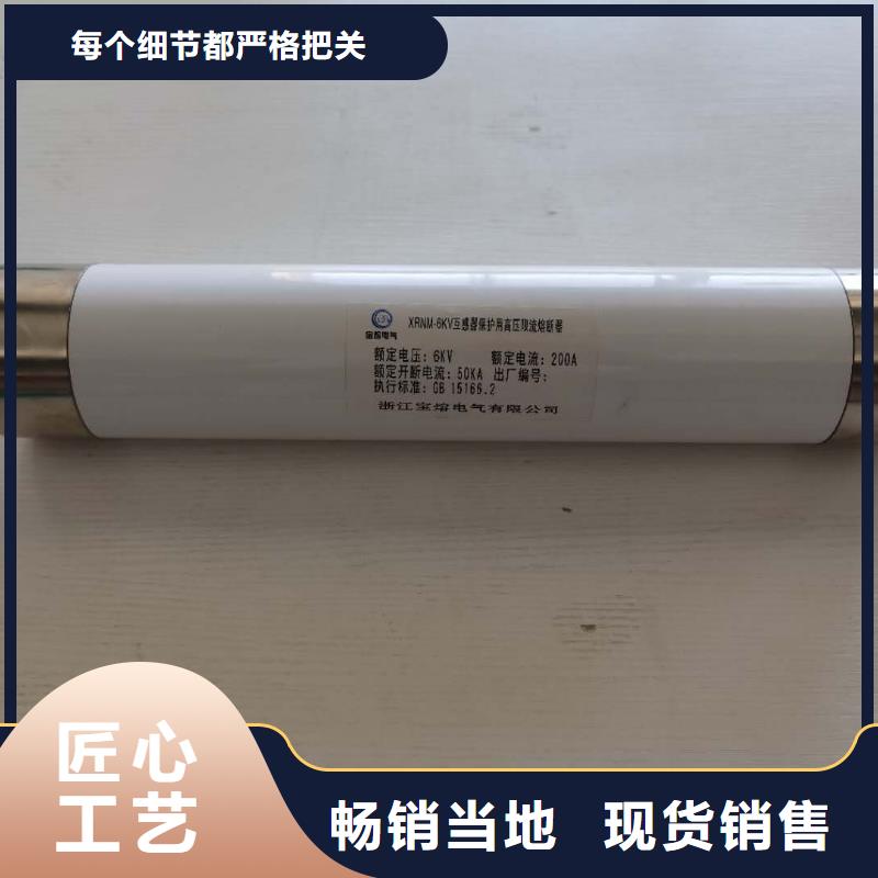 变压器保护用高压限流熔断器XRNT1-7.2KV/40A厂家直销