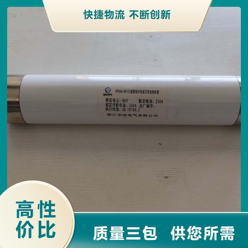 XRNP1-40.5/3.15A保护电压互感器用高压限流熔断器