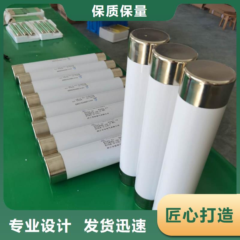 保护电压互感器用高压限流熔断器XRNP1-3.6/1A