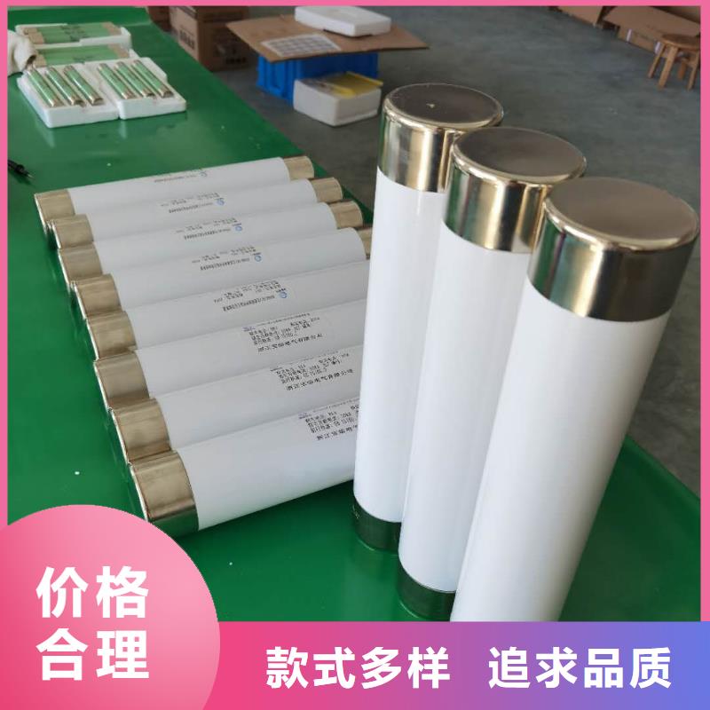 保护电压互感器用高压限流熔断器XRNP1-3.6/0.5A